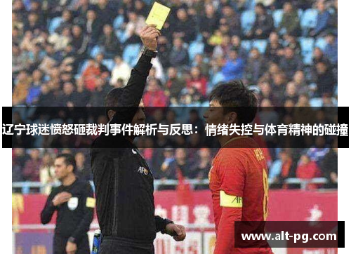 辽宁球迷愤怒砸裁判事件解析与反思：情绪失控与体育精神的碰撞