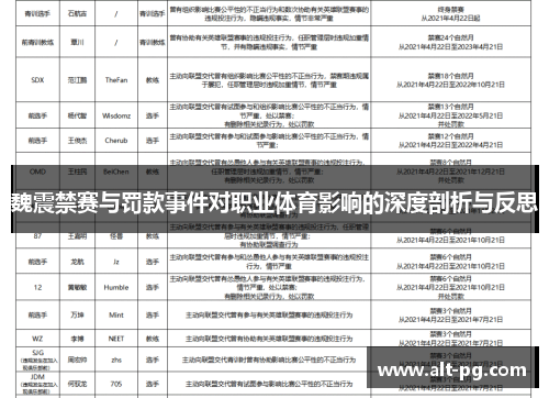 魏震禁赛与罚款事件对职业体育影响的深度剖析与反思
