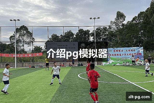 介绍pg模拟器